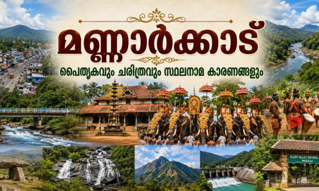 മണ്ണാർക്കാട്: മലനാടിന്റെ പൈതൃകവും ചരിത്രവും സ്ഥലനാമങ്ങളുടെ കഥകളും