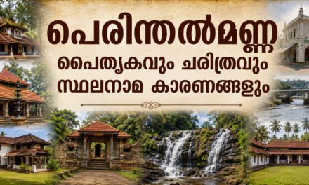 പെരിന്തൽമണ്ണ നിയോജകമണ്ഡലം: വള്ളുവനാടിന്റെ രാജപാരമ്പര്യത്തിൽ നിന്ന് ആധുനിക കേരളത്തിലേക്ക്