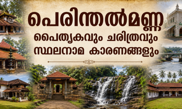 പെരിന്തൽമണ്ണ നിയോജകമണ്ഡലം: വള്ളുവനാടിന്റെ രാജപാരമ്പര്യത്തിൽ നിന്ന് ആധുനിക കേരളത്തിലേക്ക്