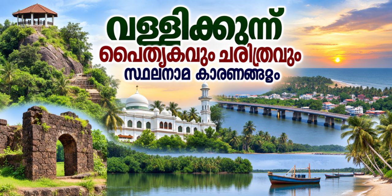 തിരൂരങ്ങാടി നിയോജകമണ്ഡലം – മലബാർ ചരിത്രത്തിന്റെ പൈതൃകഭൂമി