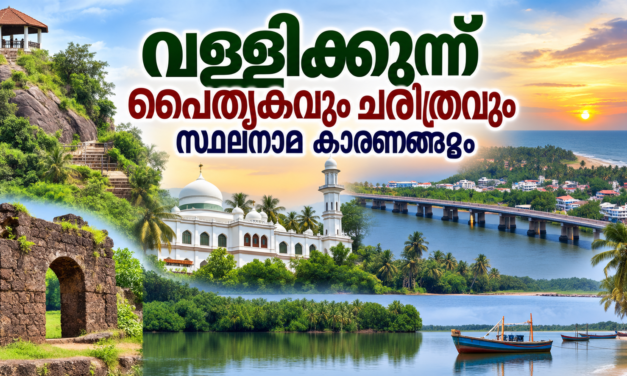 തിരൂരങ്ങാടി നിയോജകമണ്ഡലം – മലബാർ ചരിത്രത്തിന്റെ പൈതൃകഭൂമി